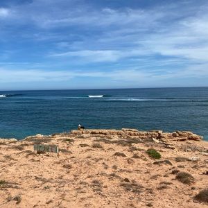 Meet your Posher, George